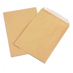 Paquet de 10 Pochettes Kraft 300 x 400 mm 100g