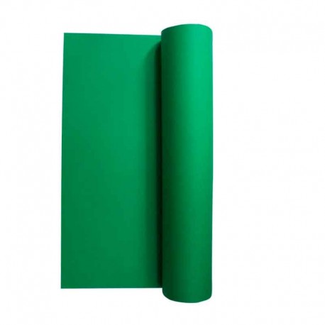 Papier canson 50*65 vert