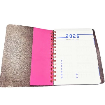 Agenda 2026 Nodus+ spirale "plusieurs couleurs"