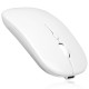 Souris Sans Fil Rechargeable