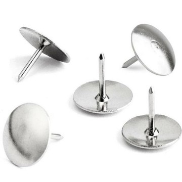 Punaises 50 Piéces Silver