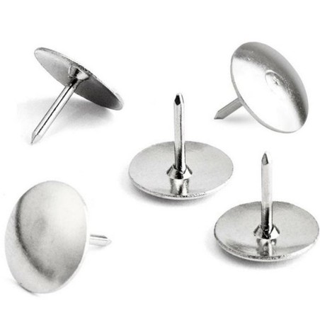 Punaises 50 Piéces Silver