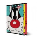 Cahier de Dessin -Grand modèle "Selecta"