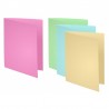 Rame de 100 Chemises Cartonnée Bristol - 4 Couleurs