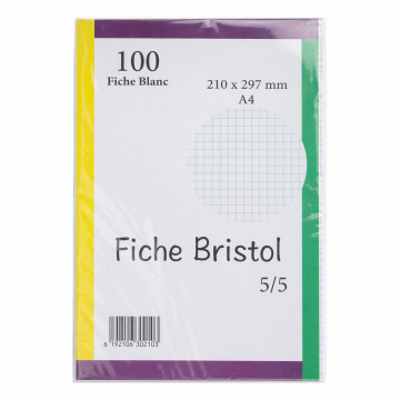 Fiche Bristol A4 100F  Blanc