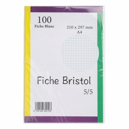 Fiche Bristol A4 100F  Blanc