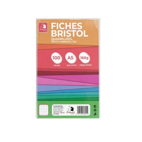 Fiche Bristol A5 100F  Couleurs