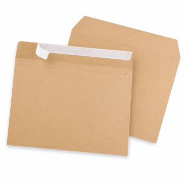 Lot de 250 Enveloppes Kraft 229 x  324 mm 90Gr