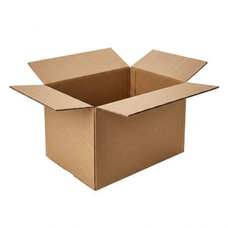 Carton simple