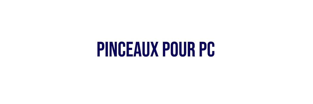 Pinceaux pour PC